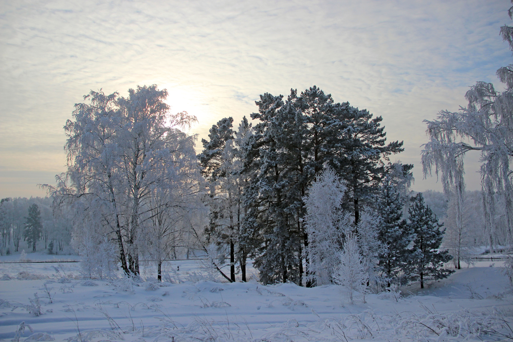 Дело к вечеру 2 Сибирь зима иней серебро снег деревья вечер закат