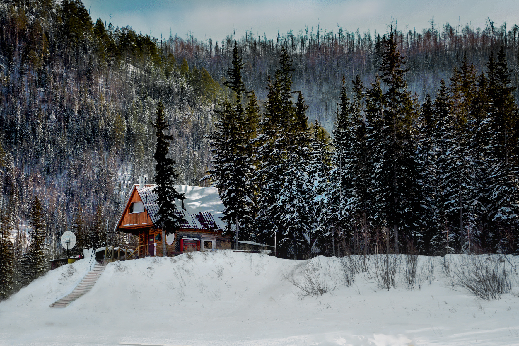 В зимнюю красу, Дом стоит в лесу 
