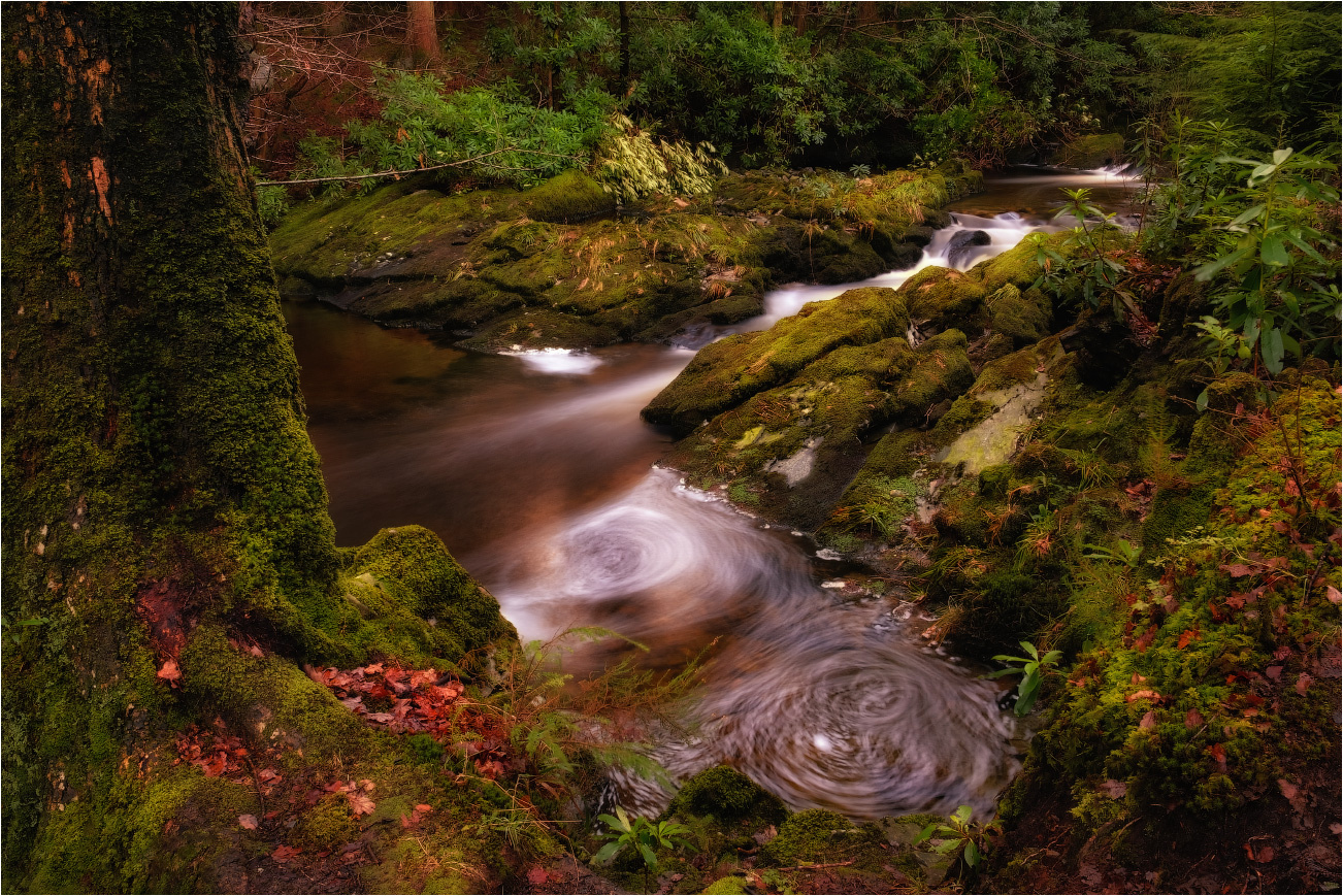 ...double disco... :) ireland landscape creek strem long exposure picturesque scenic mysterious fairy tail europe wood forest