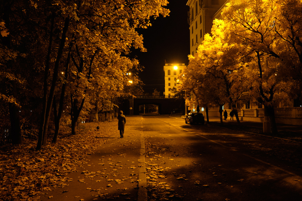 Осенний вечер в городе вечер осень набережная фонари деревья здания люди