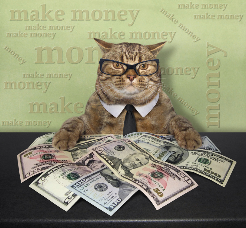 Businesscat... кот Фунтик юмор бизнесмен деньги умник