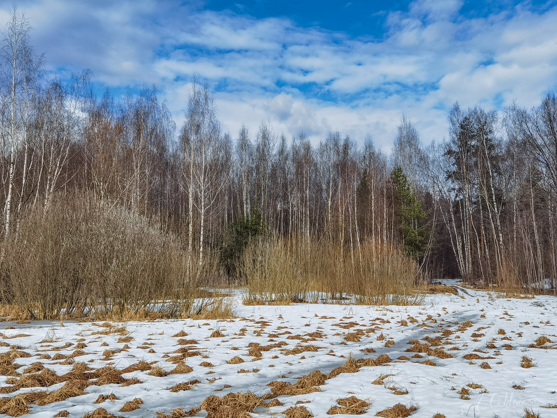 Талые дорожки -4 лес поле весна дорога лужи снег березы ивы сосны