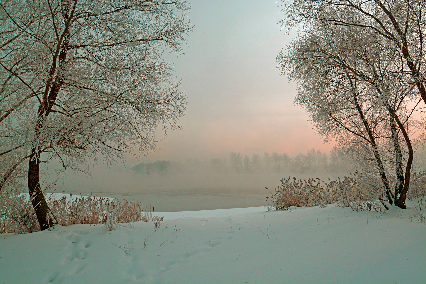 Зимняя сцена. река зима туман
