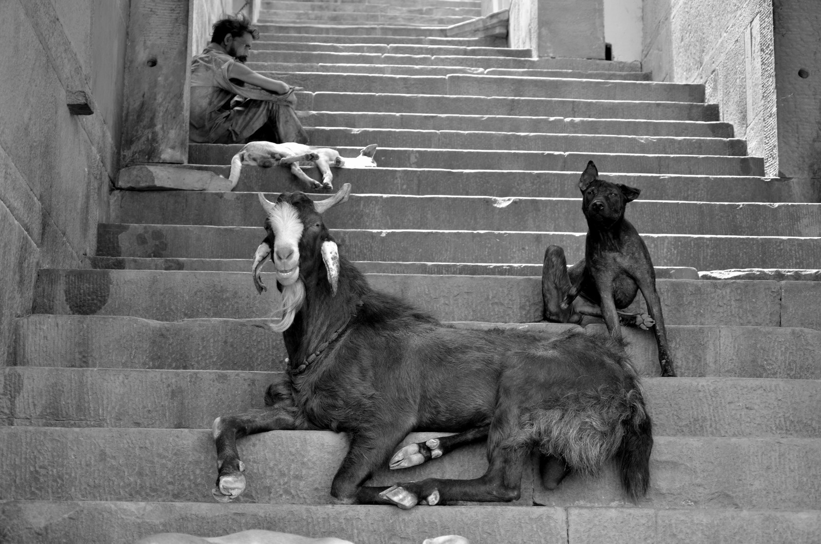 На ступенях... Varanasi India