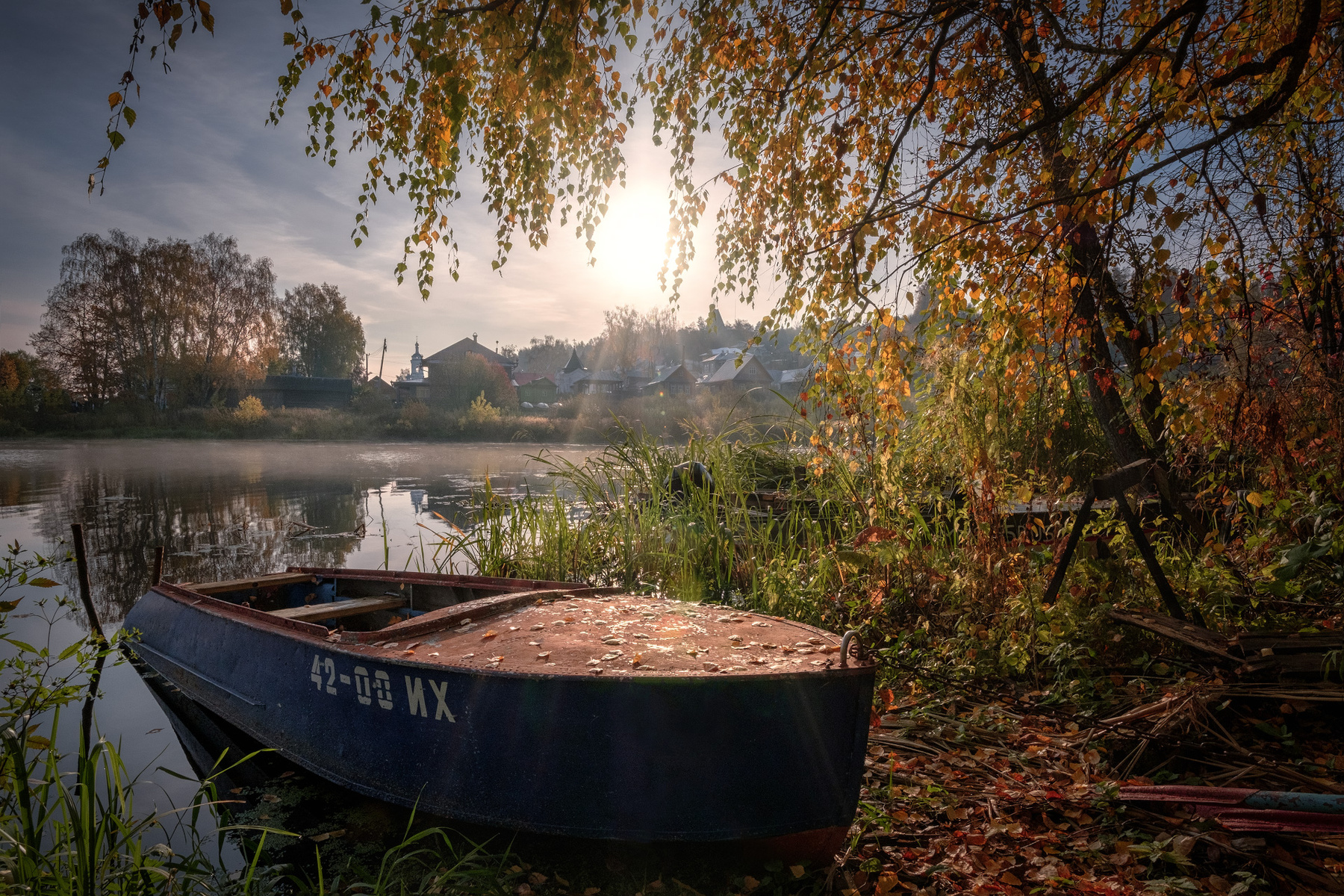 В устье Шохонки плес утро шохонка река лодка береза солнце листья