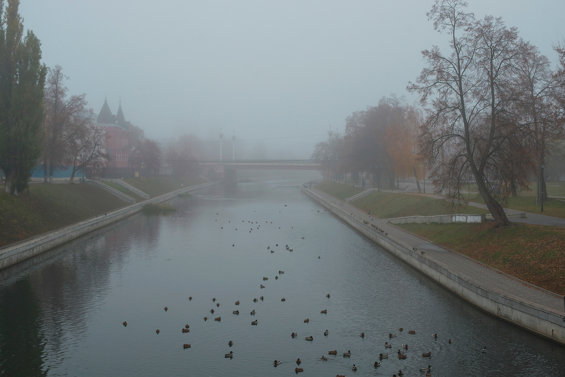 В ноябрьских туманах... город утро орлик анатини