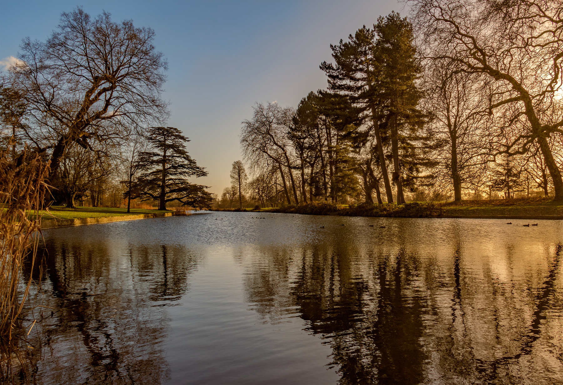 Озеро природа закат солнце ветви деревья лучи озеро вода