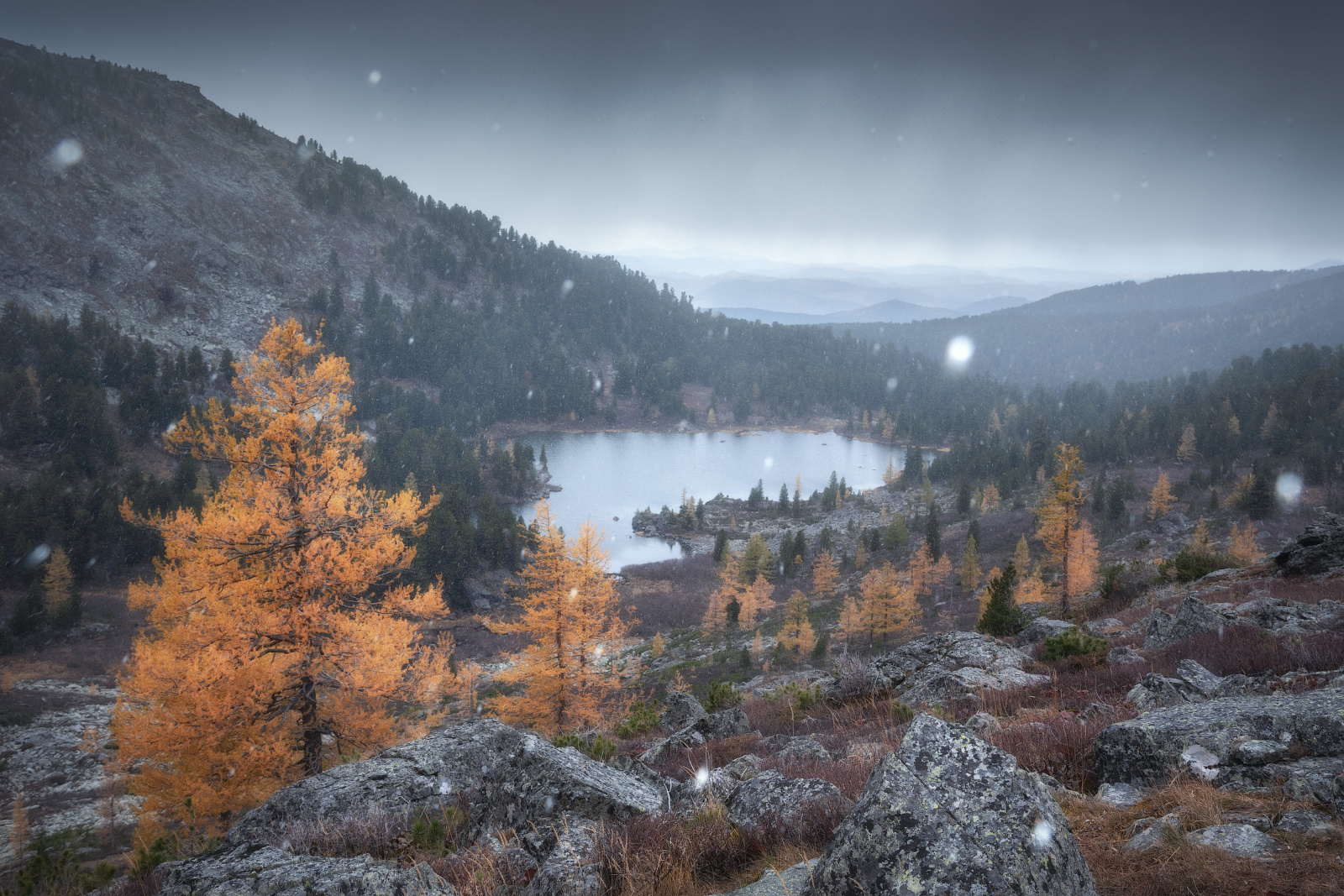 Дыхание предзимья горный алтай каракольские озера горы горное озеро караколы снег предзимье золотая осень лиственницы чемальский раойн