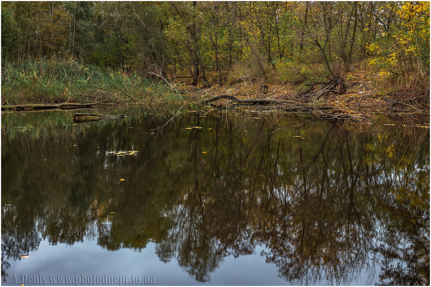 Осенний шепот Осень природа листья деревья кусты вода река пейзаж