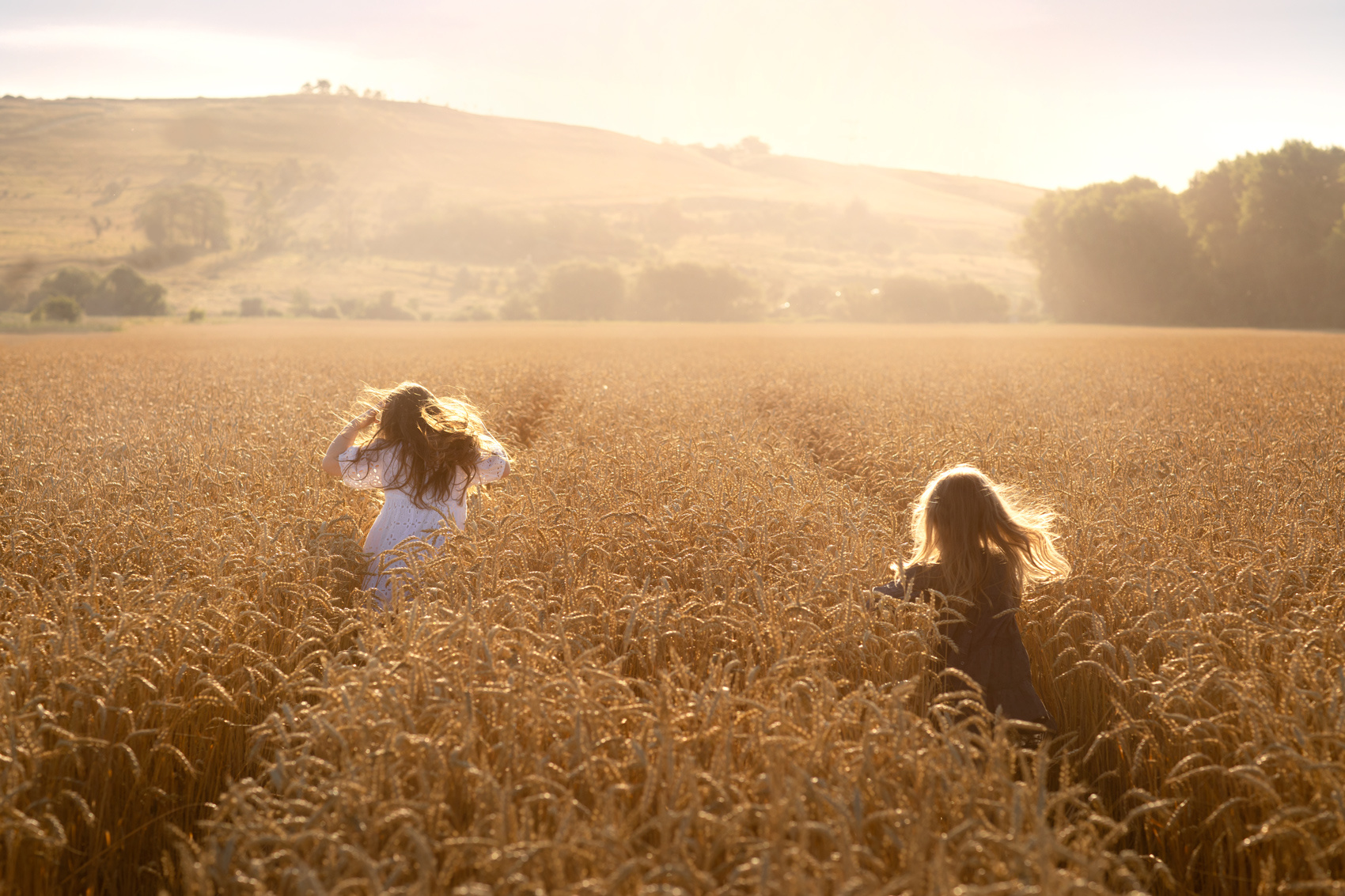 мгновения природа пшеница дети утро рассвет солнце бежать мгновение счастье