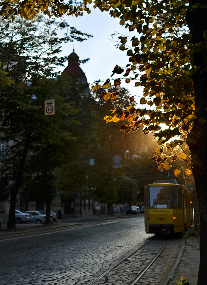Осенний трамвай город львов