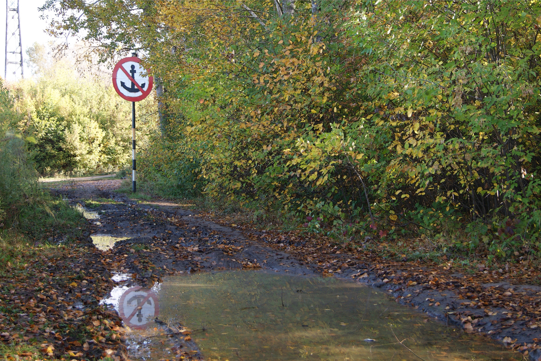 Якоря не бросать Осень лес дорога лужи запрещающий знак