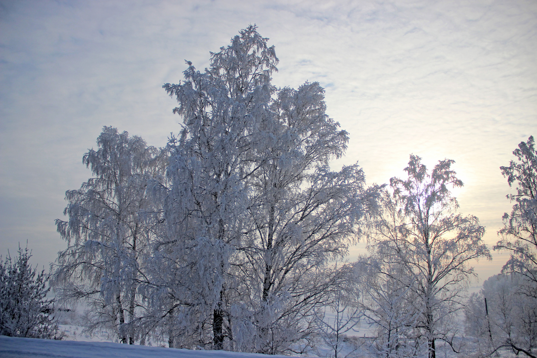 Дело к вечеру Сибирь зима иней серебро снег деревья вечер закат