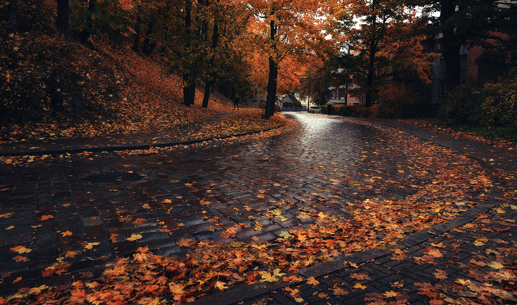 *Осень в Тарту* город улица дождь