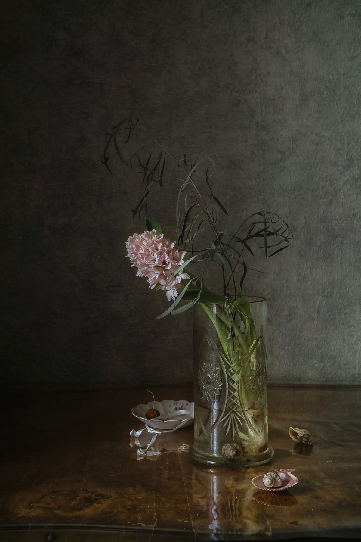 Одинокий гиацинт натюрморт стекло цветы гиацинты ракушки