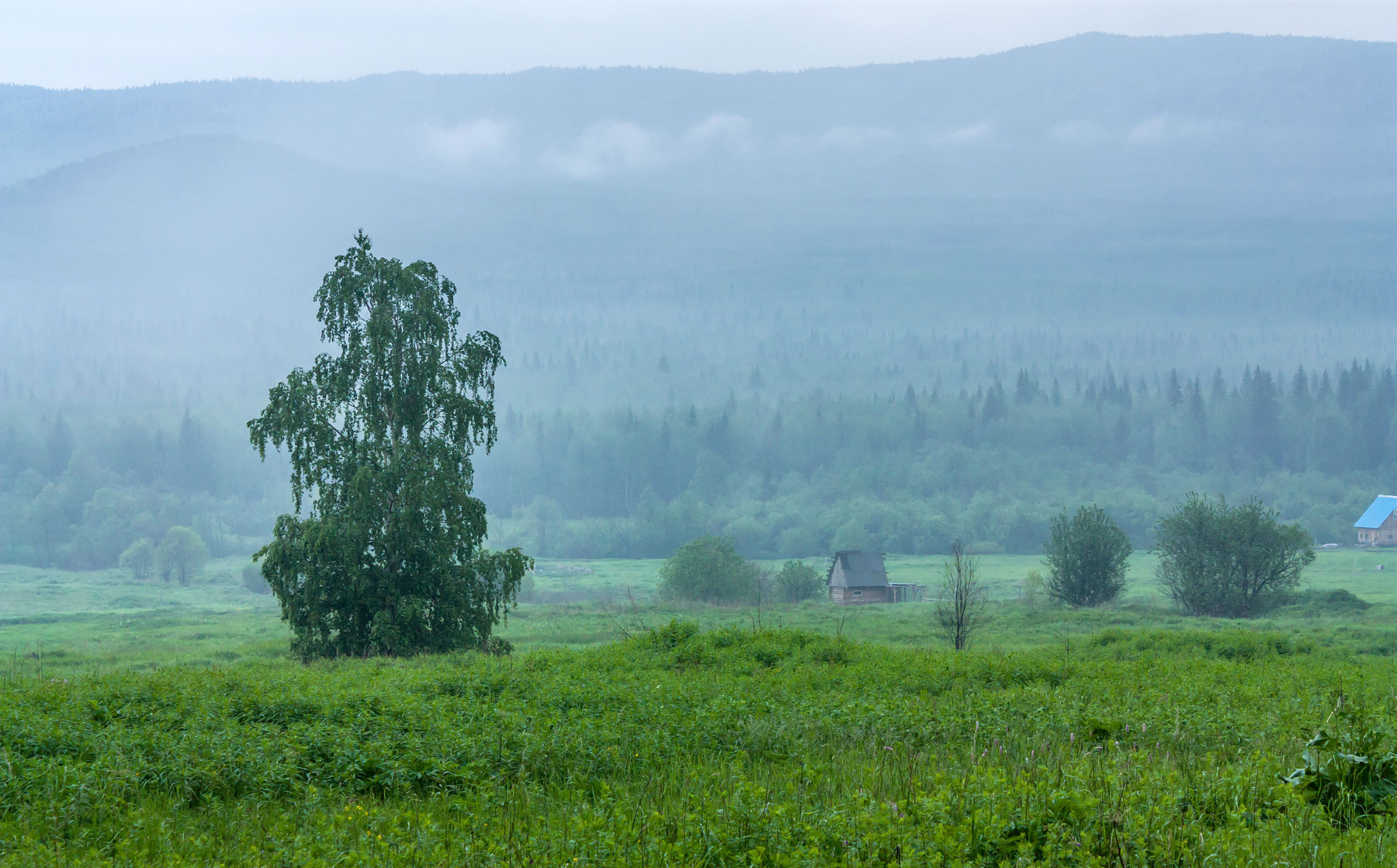 После дождя (Куштумгинские поляны) Миасс Куштумга Южный Урал