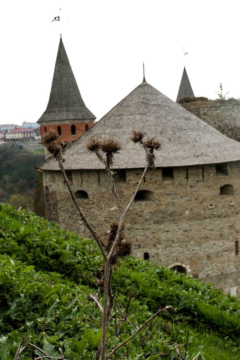 "Старая крепость". будяк башни