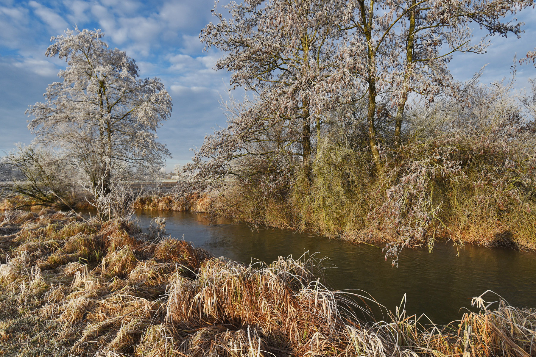 Морозным утром у ручья утро ручей