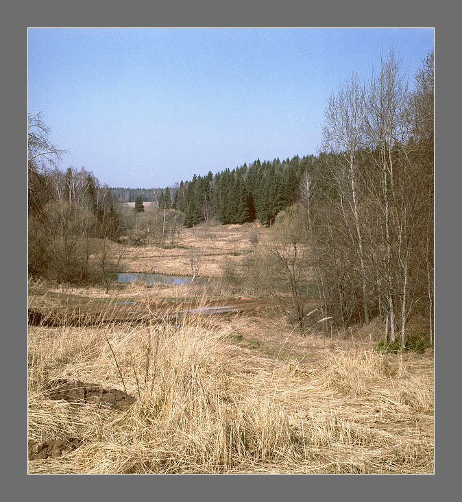 Весенняя зарисовка 2007 