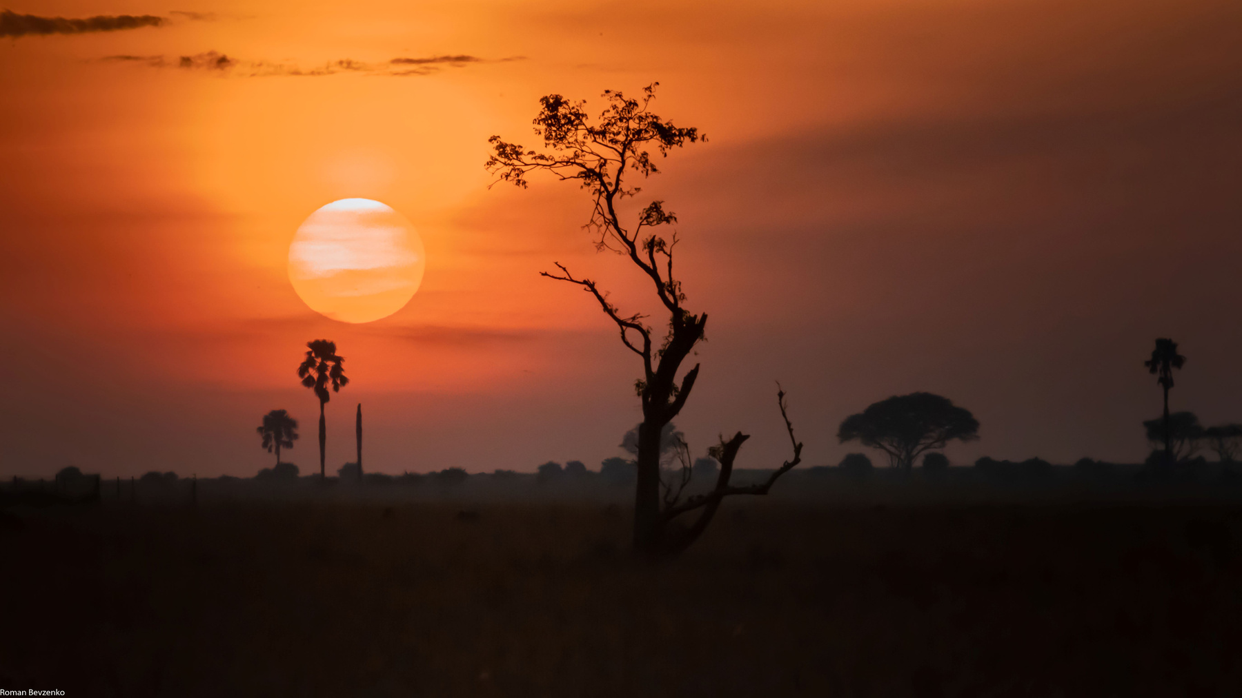 Восход солнца в саванне африка уганда сафари саванна восход солнце рассвет пейзаж