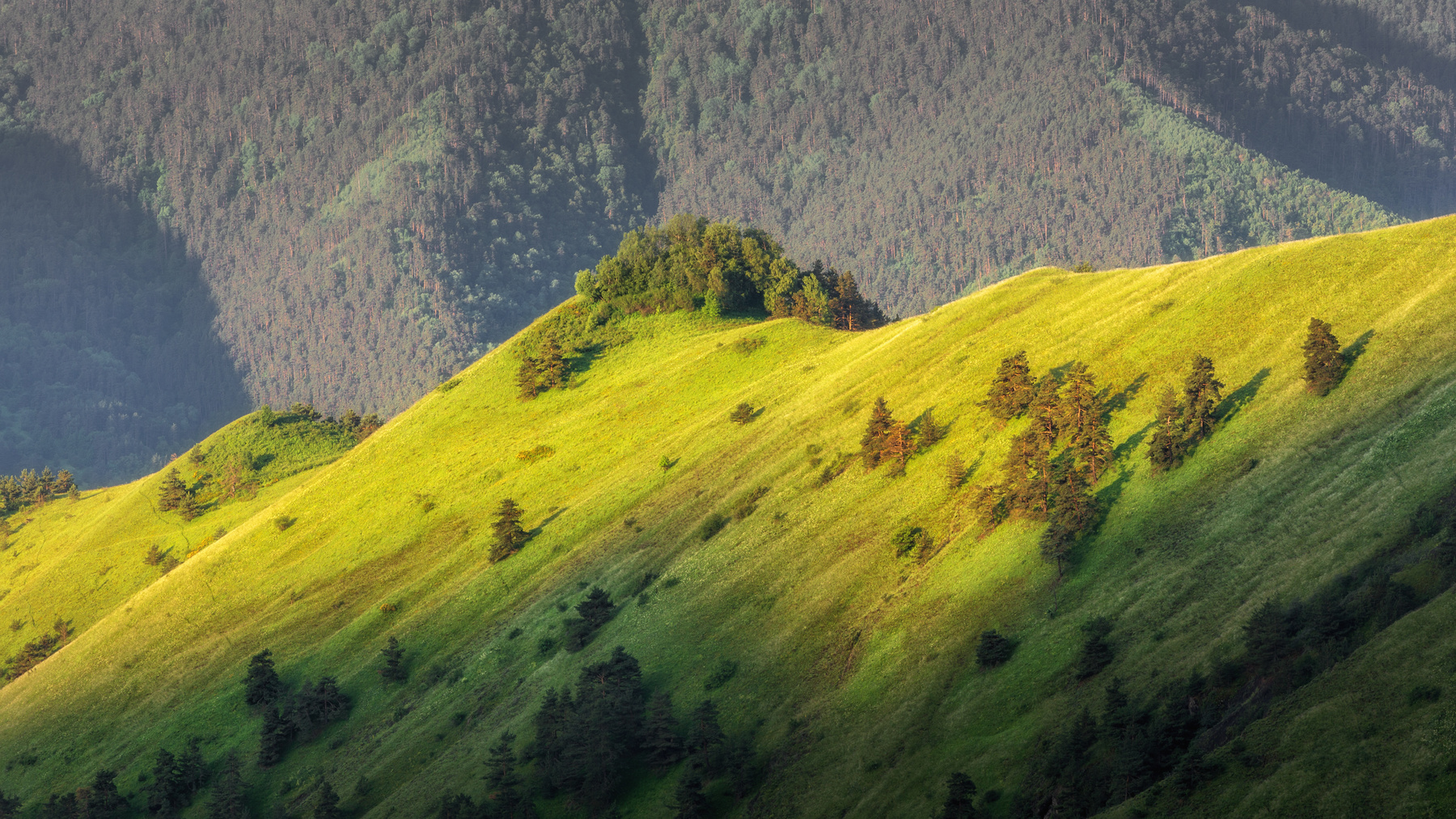На встречу новому дню рассвет горы склоны Кавказ Россия природа Ингушетия Эрзи солнце деревья свет