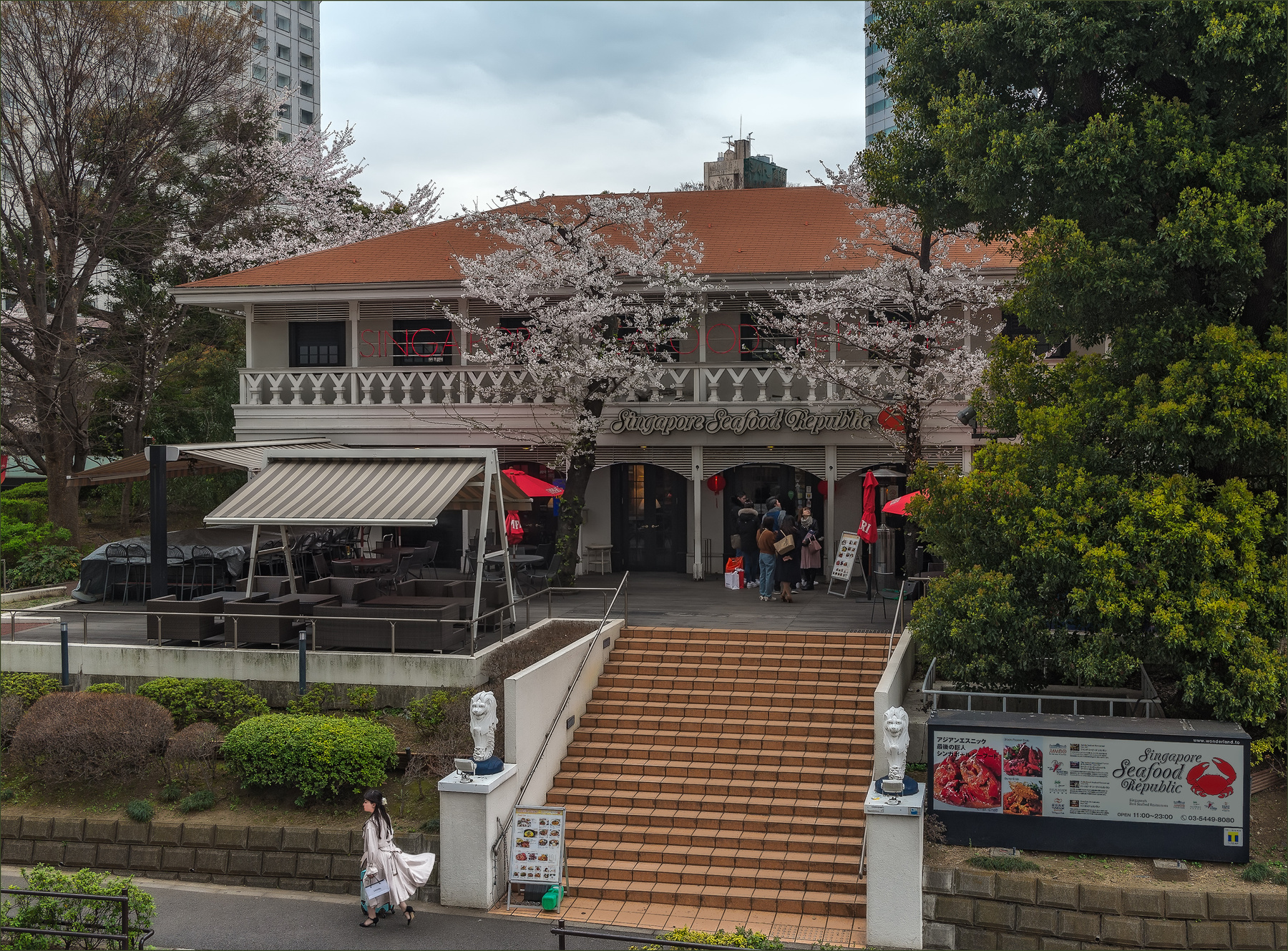 Летящей походкой Токио ресторан девушка весна сакура