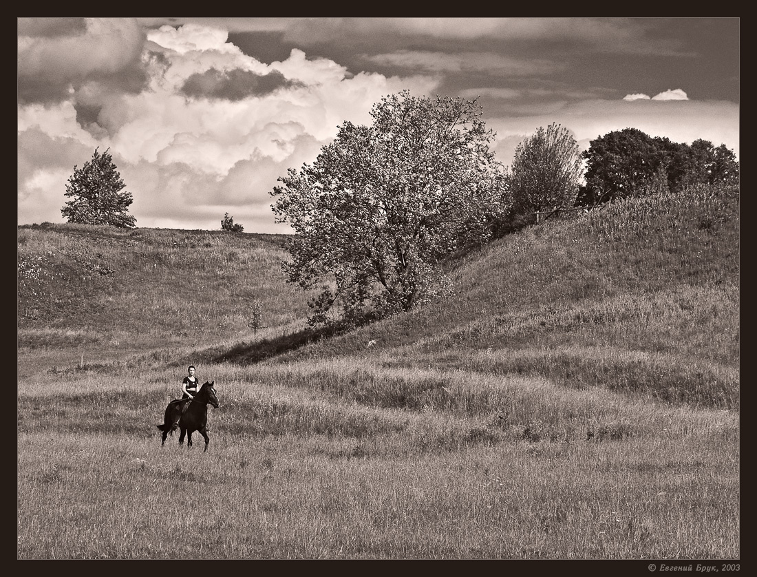 Холмистая равнина Восточно-Европейская равнина холмистая Придеснинская низменность Брянская область небо облака лошадь всадница монохром