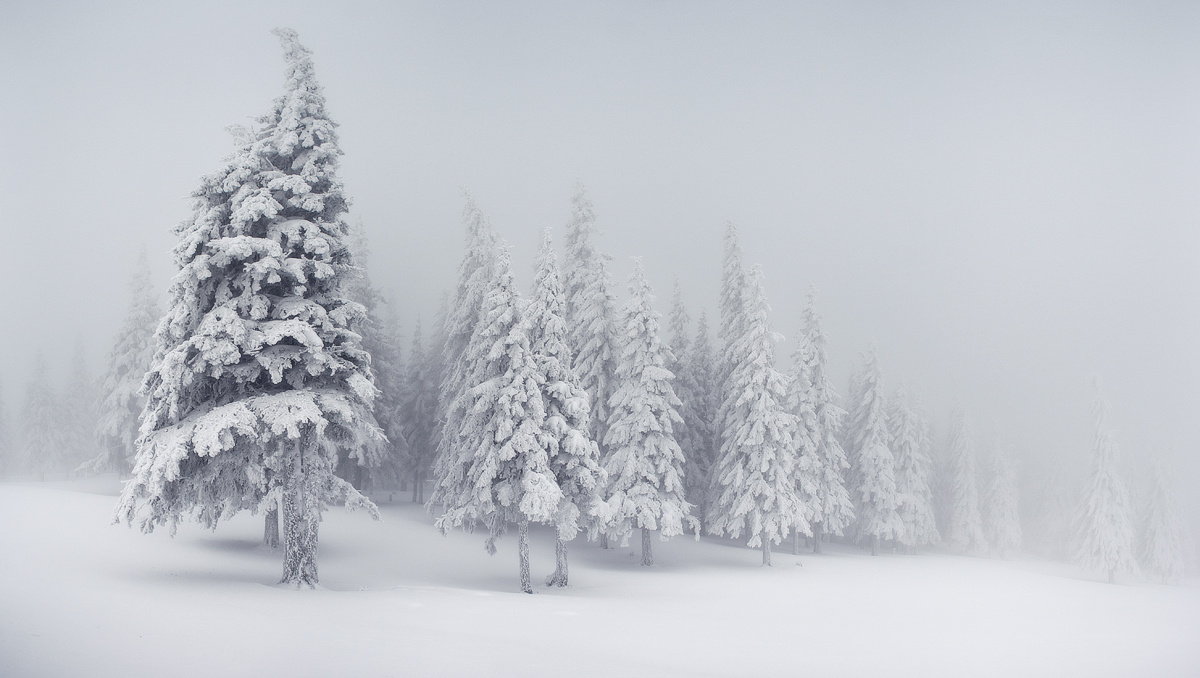О настоящей суровой зиме Карпаты горы снег зима