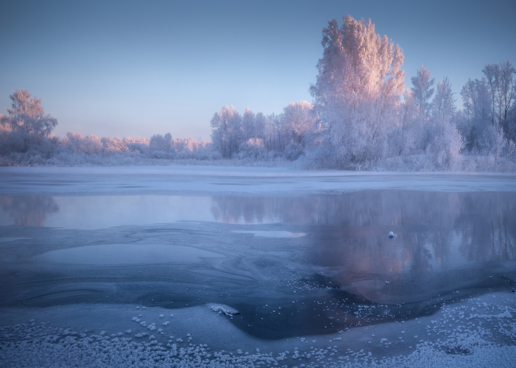 Сиреневое утро алтайский край советский район озеро светлое лебединый заказник зимнее утро декабрь зима рассвет иней