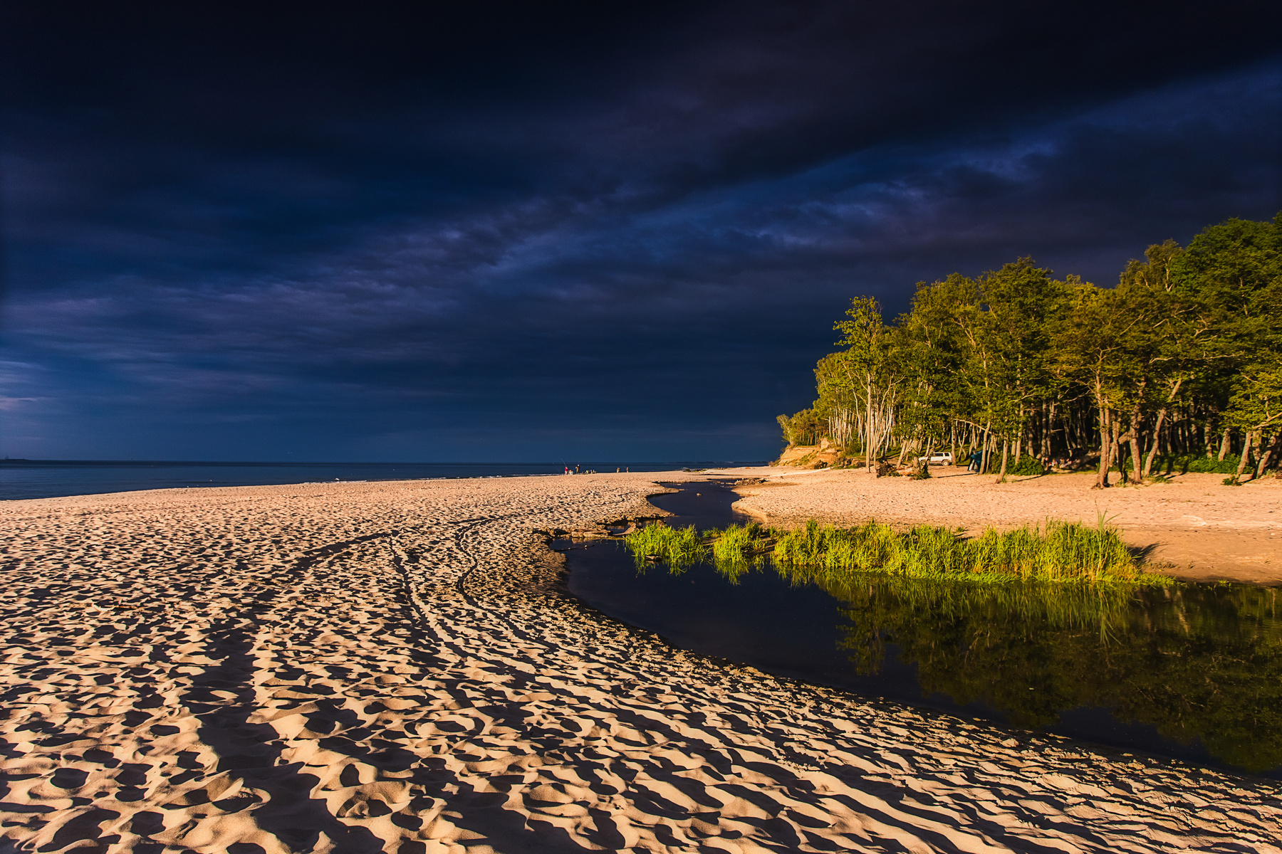 Контраст Балтийского берега Природа пейзаж море берег