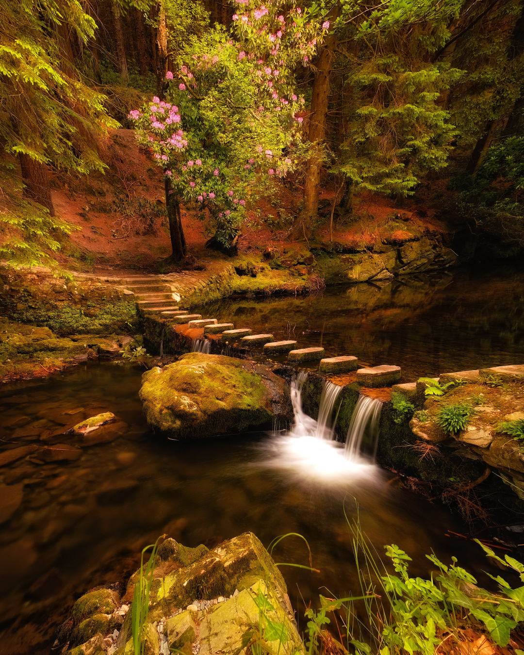 ...Fairy place... ireland ni nature outdoors landscape long exposure forest wood stream creek waterfall flow fairy tail scenic wonderful picturesque europe