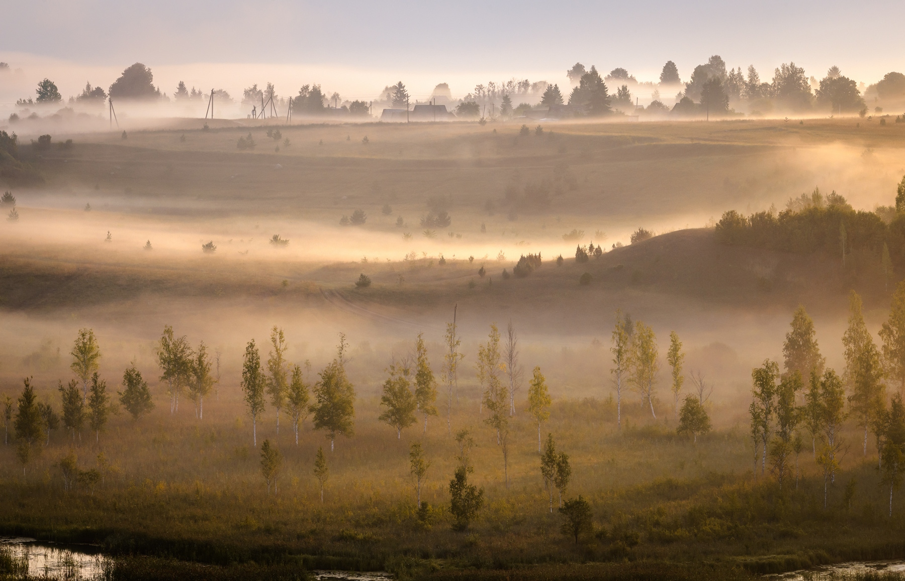 Утро в долине. пейзаж утро псков туман природа лето