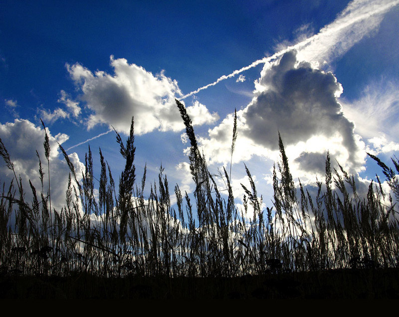 Земля и Небо небо земля облака травы