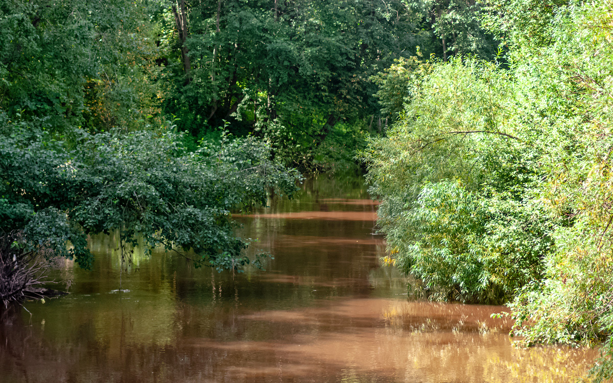 река Вочь павино кострома область природа пейзаж река вода вочь лето