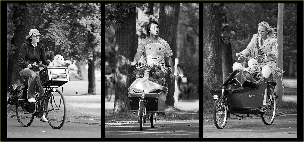 Амстердам #12 амстердам vondelpark позитив
