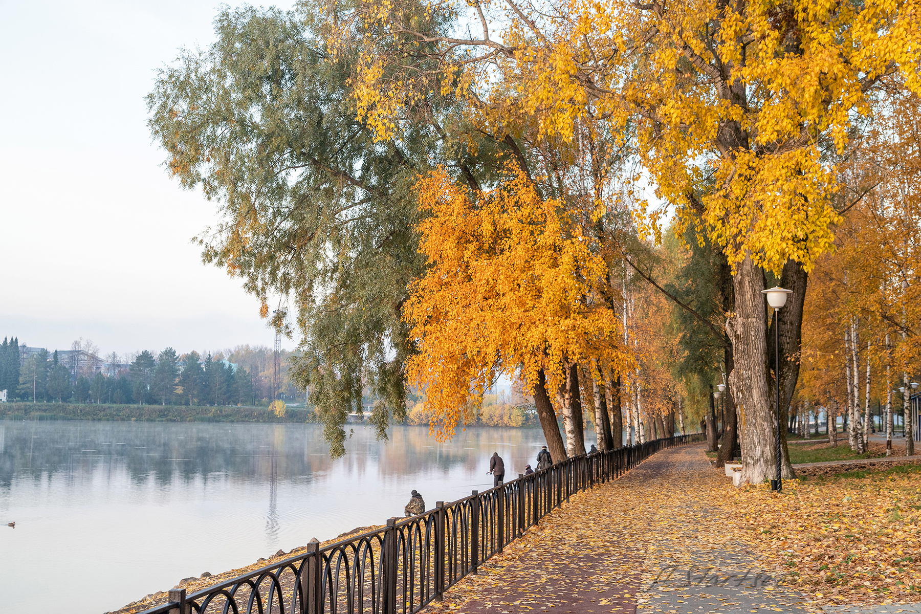 Осень пруд Лысьва осень пейзаж деревья Пермский_край листья парк