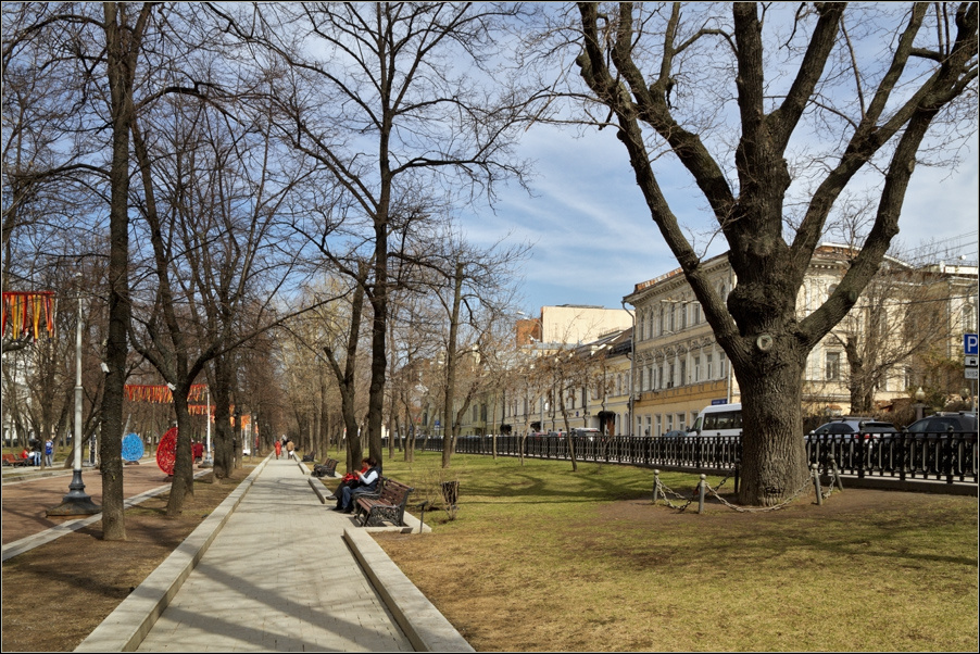 Тверской бульвар москва. Пушкинский дуб на Тверском бульваре. Улица Тверской бульвар. Гоголевский бульвар весной. Гоголевский бульвар дуб.