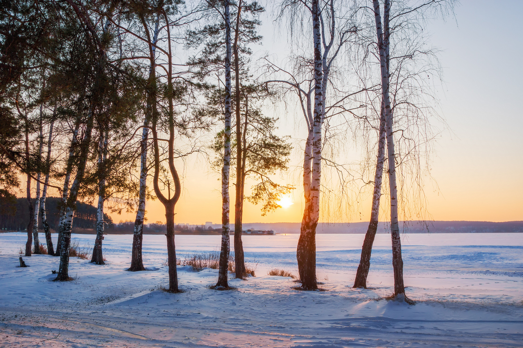Морозный закат пейзаж природа зима вечер Воронеж лес сосна берёза водохранилище солнце мороз