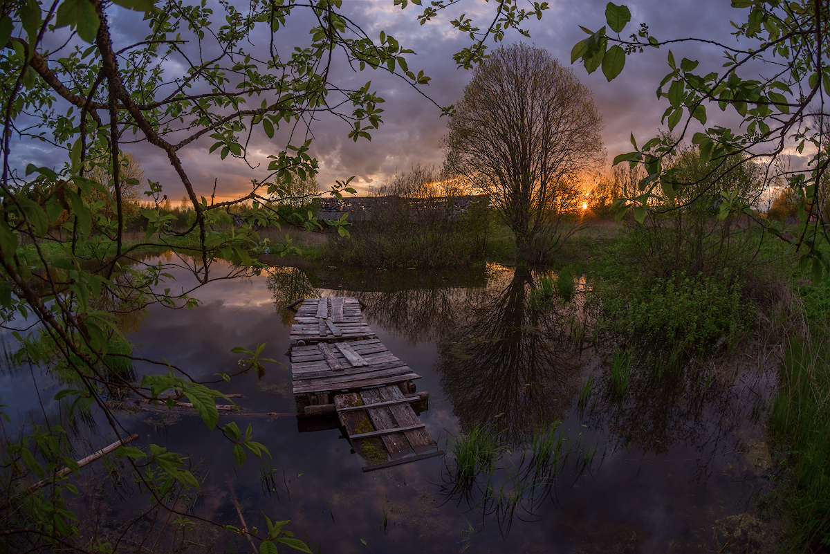 весенний прудик пруд весна май мостик деревня вечер закат
