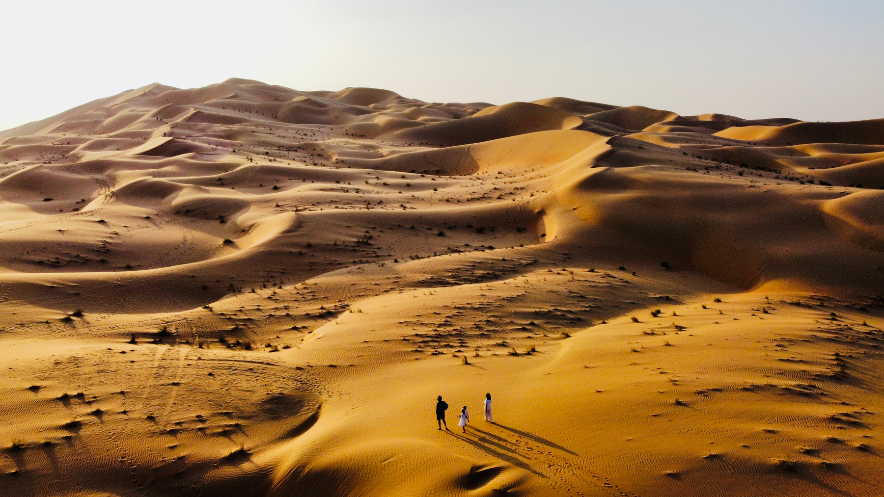 Rub' al Khali desert - Liwa Oasis пейзаж пустыня дрон закат