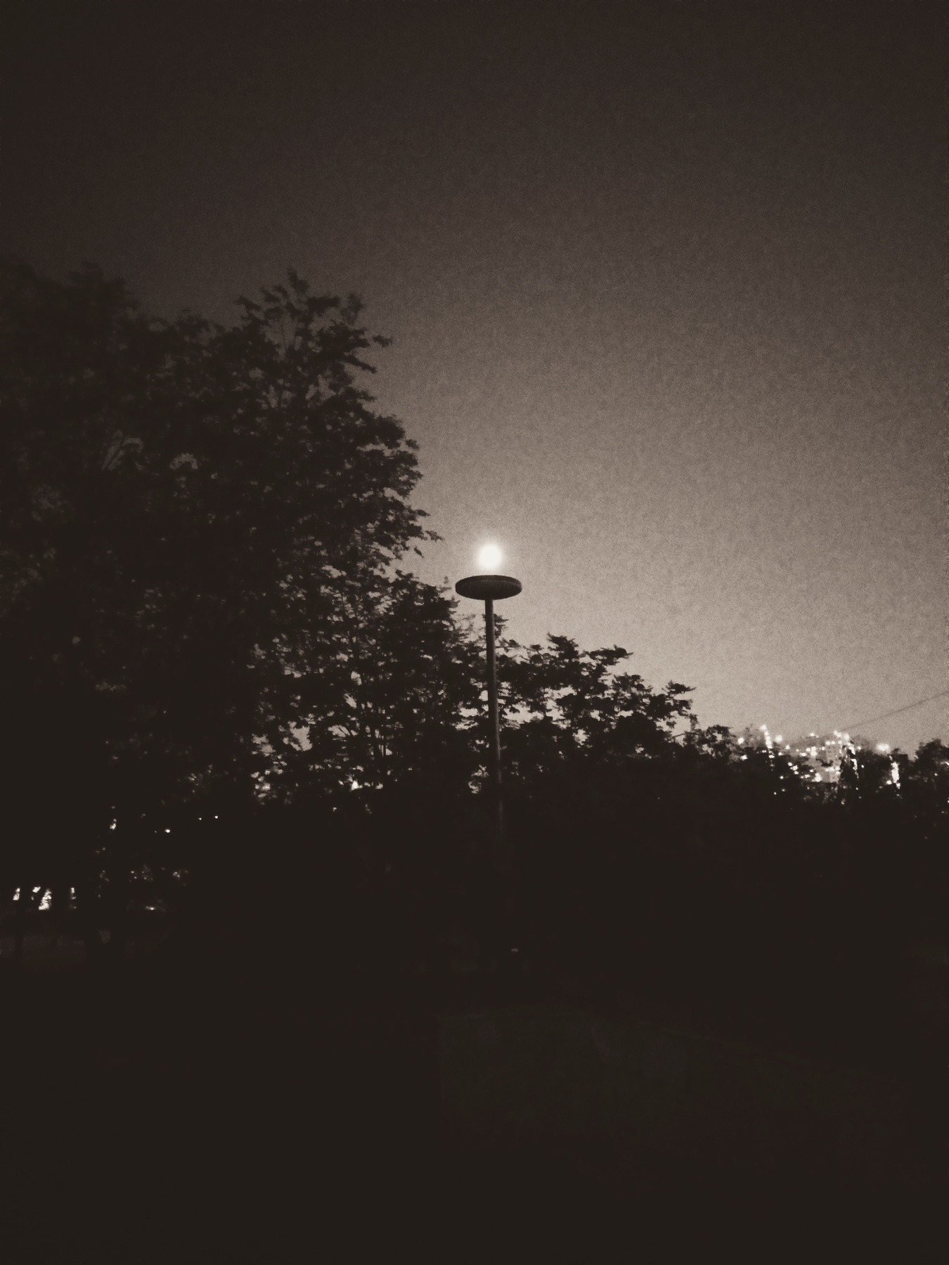 Лунный фонарь Город ночной город фонарь луна на блюде факел свечка освещение луной лунный сепия чёрно-белое фото свет луны и тьма
