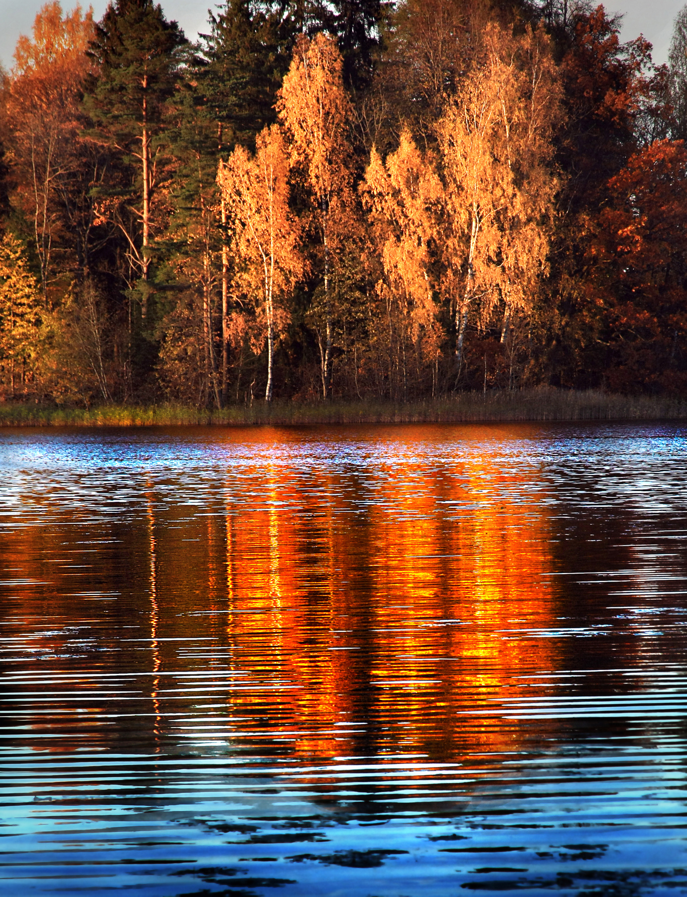 Осенним днем... Эстония Осень Oзеро Кавади