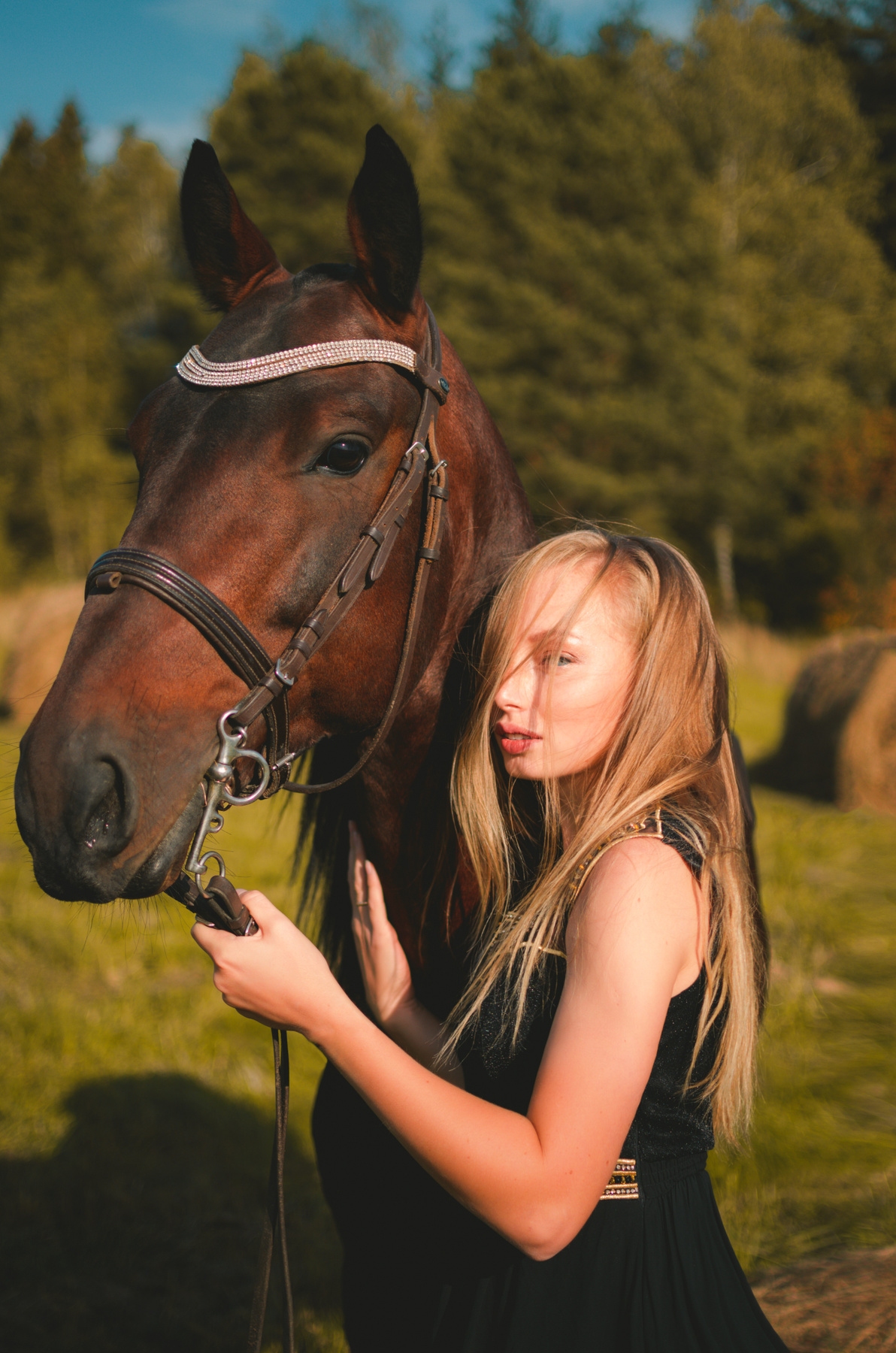 *** девушка конь лошадь поле природа