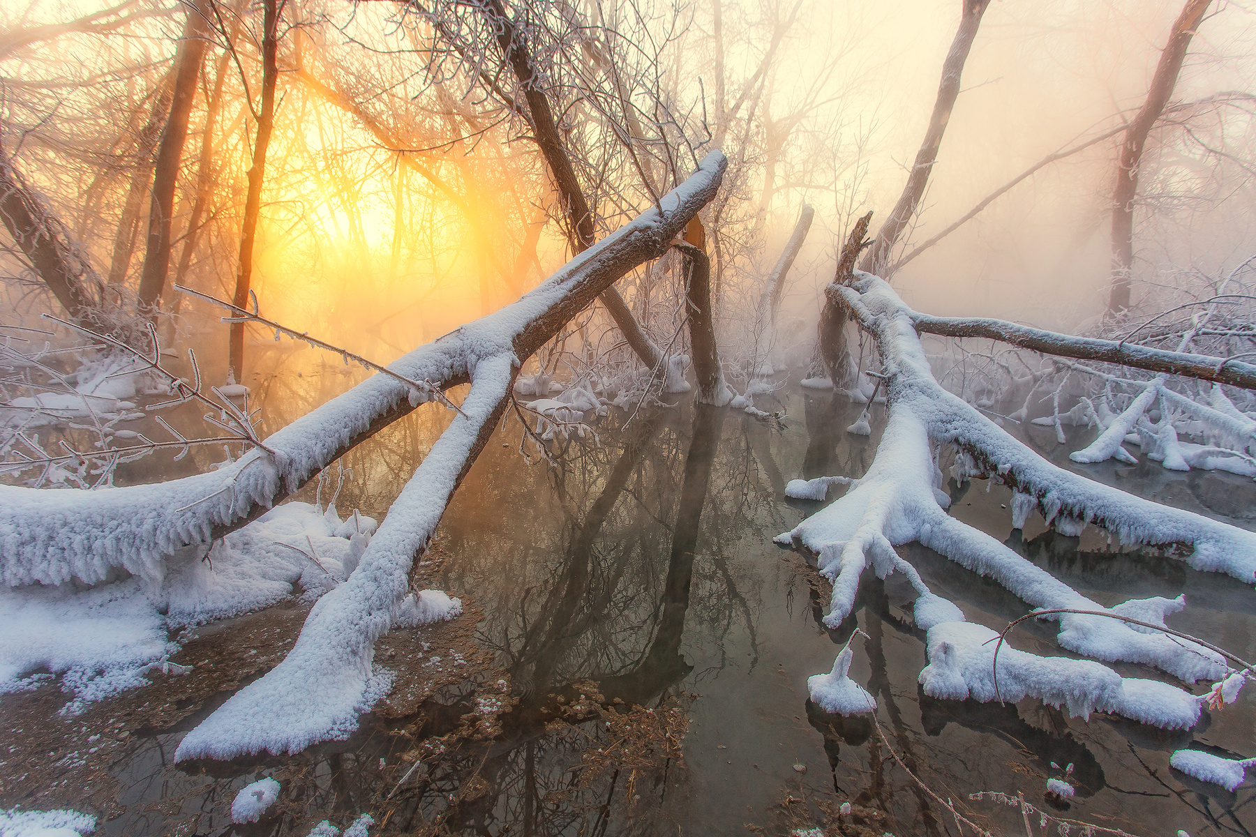 Холодное утро на болотах Орск Оренбуржье пейзаж пейзажи