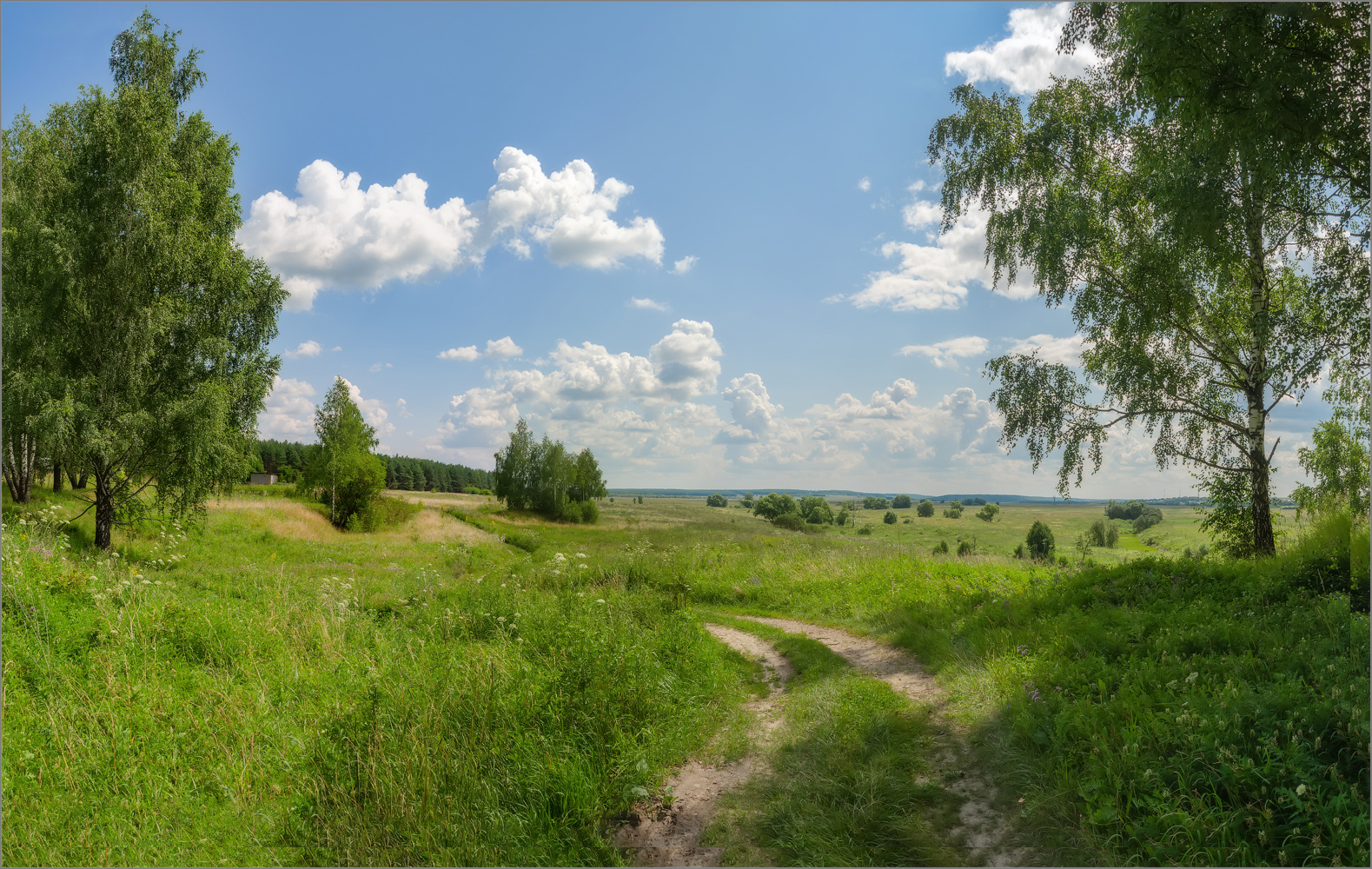 На русских просторах пейзаж лето поле лес
