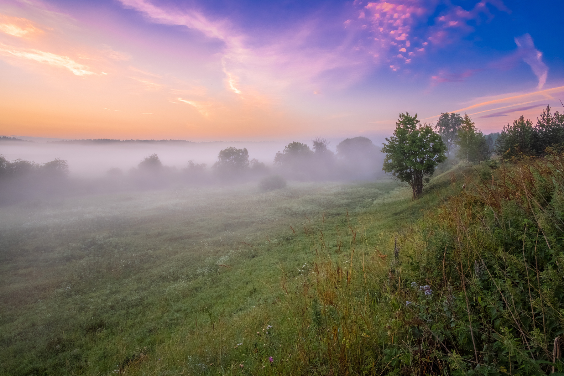 Туман ползёт рассеиваясь дымкой, ложась росой на сонную траву... утро рассвет туман небо краски прохлада ночь пейзаж поле дерево