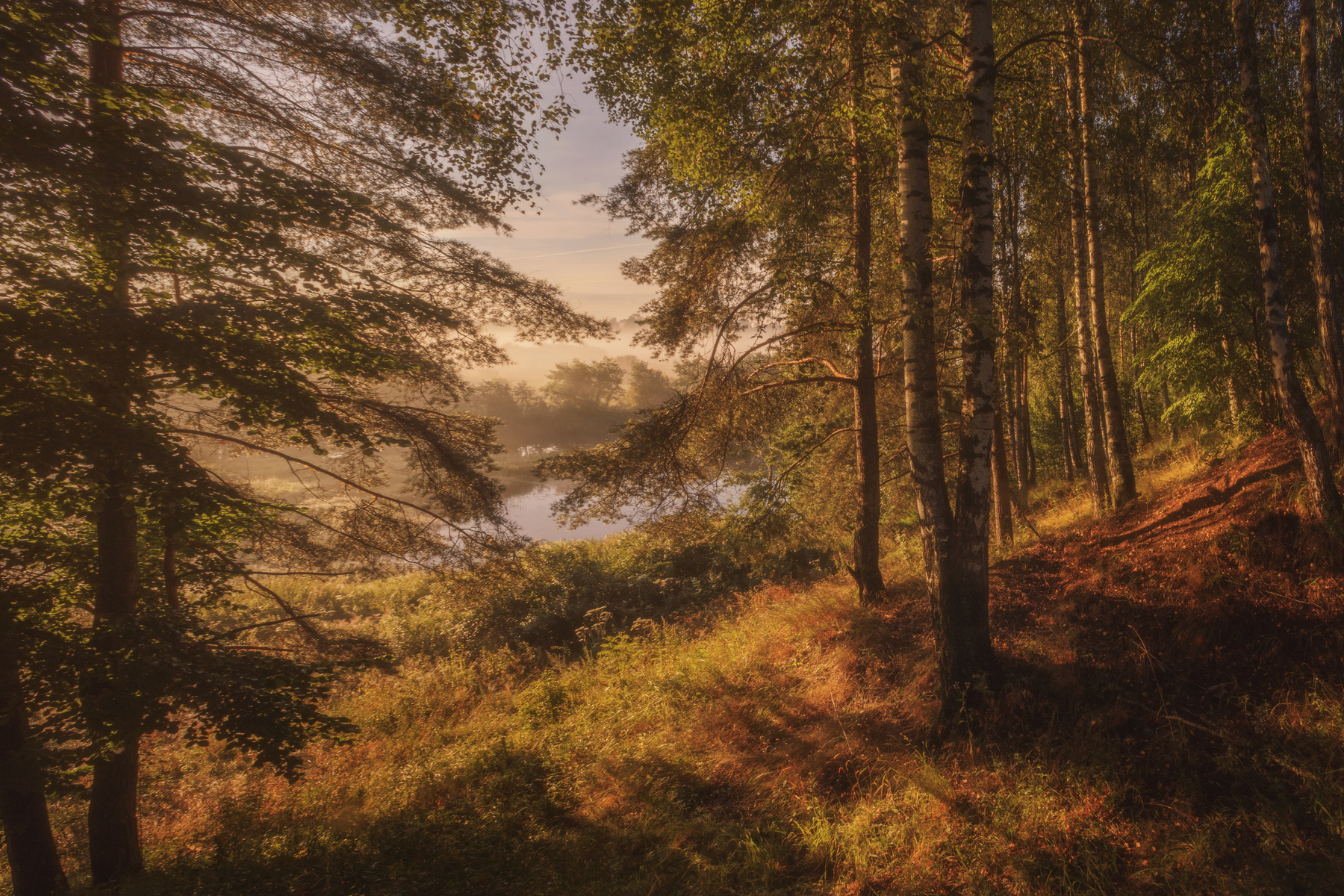 Утро в березовом лесу озеро горы лес природа закат рассвет красота приключения путешествие облака