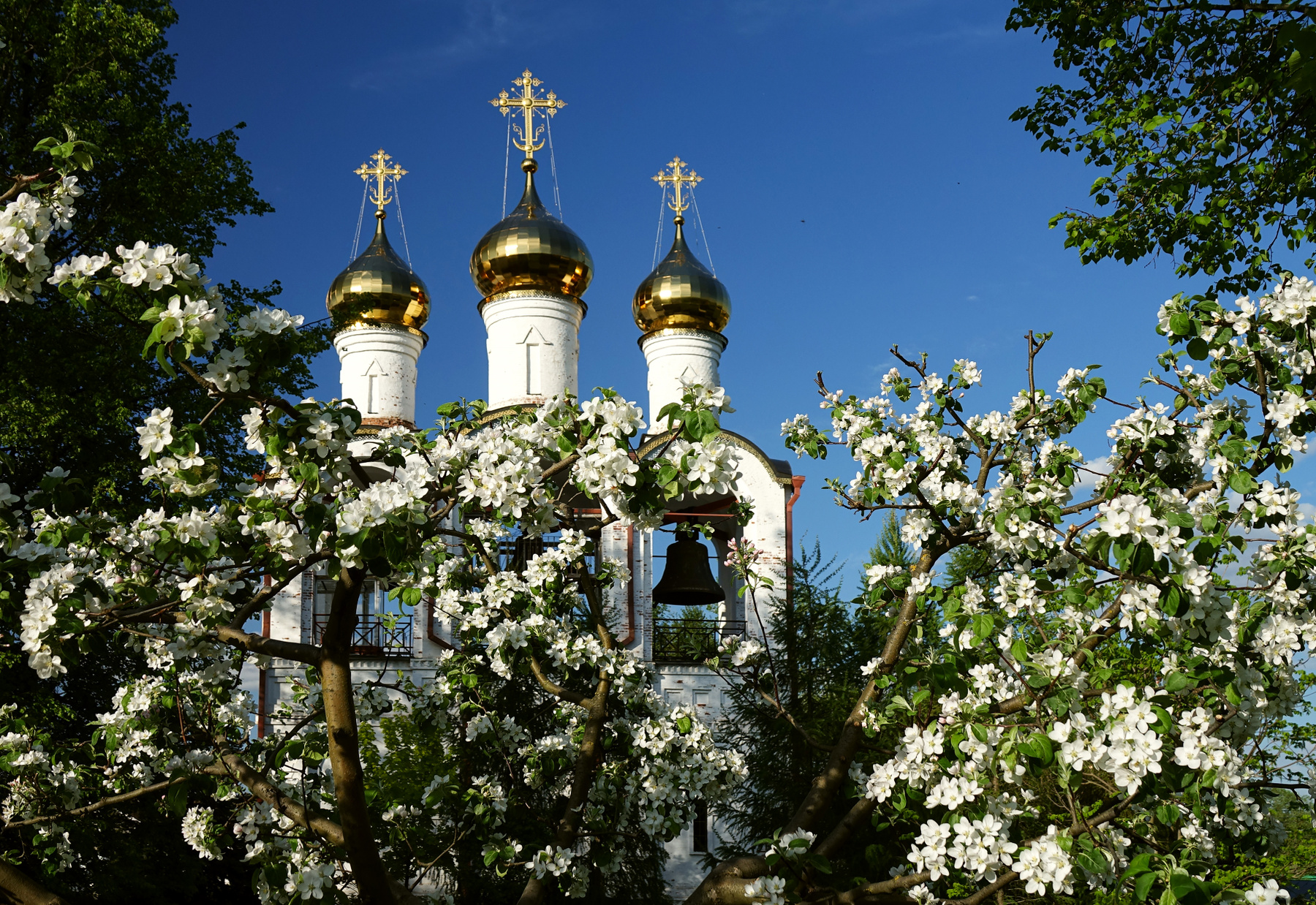 Весна в монастырском саду цветущие яблони монастырь