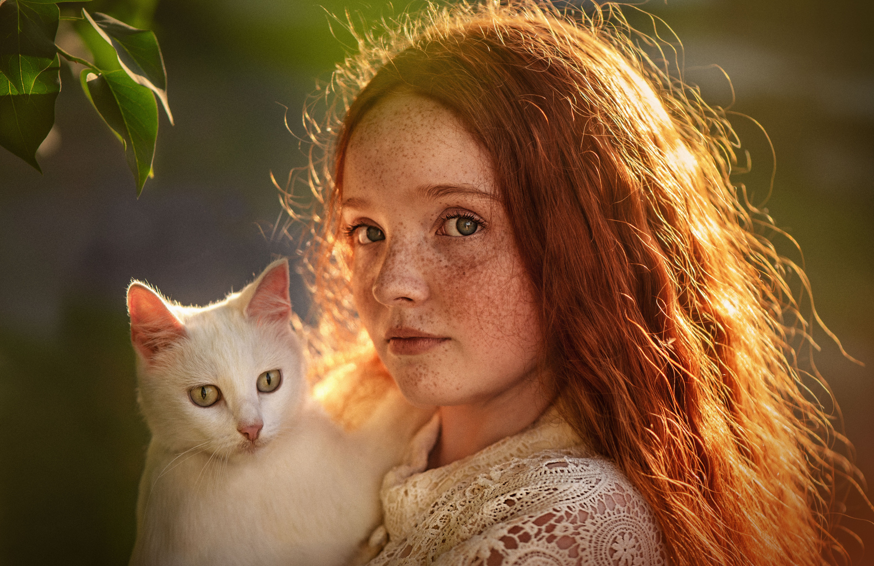 Девушка с кошкой Девушка кошка портрет рыжий лето закат