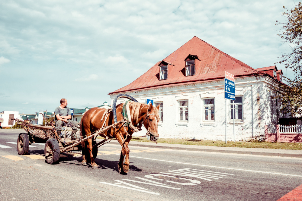 Упряжка стрит фото улица люди фотограф наблюдения экзистенция Белоруссия Беларусь телега лошадь дом дорога путь мужчина жизнь лето день село
